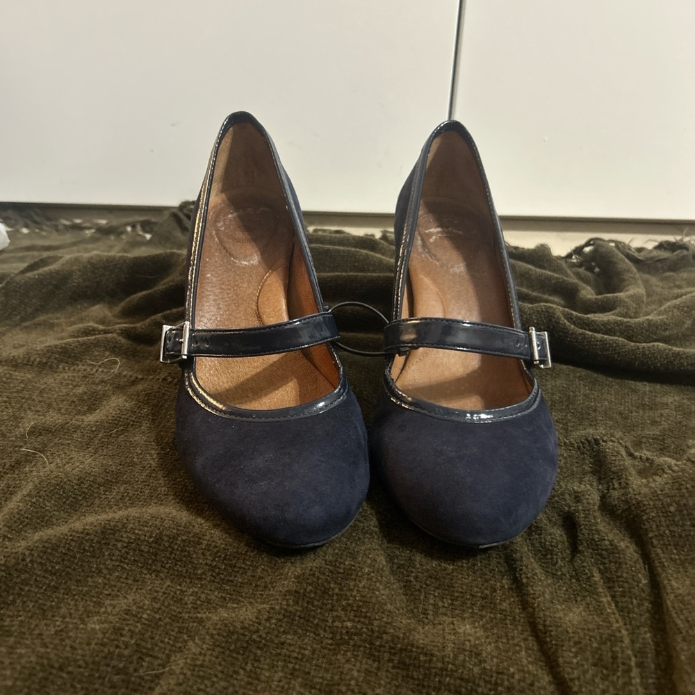Blue Chunky Heel Mary Jane Shoes